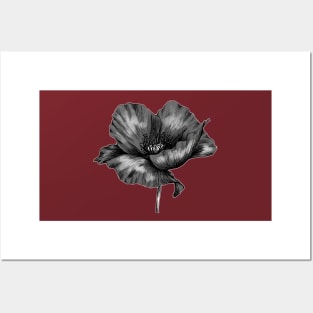 Poppy Posters and Art